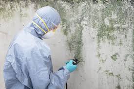 Best Comprehensive Air Testing for Mold Contaminants  in Granite Quarry, NC